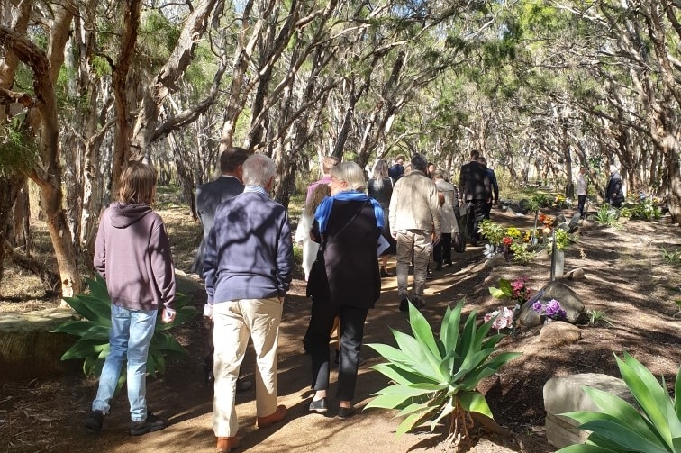 A group of people walking underneath some trees.