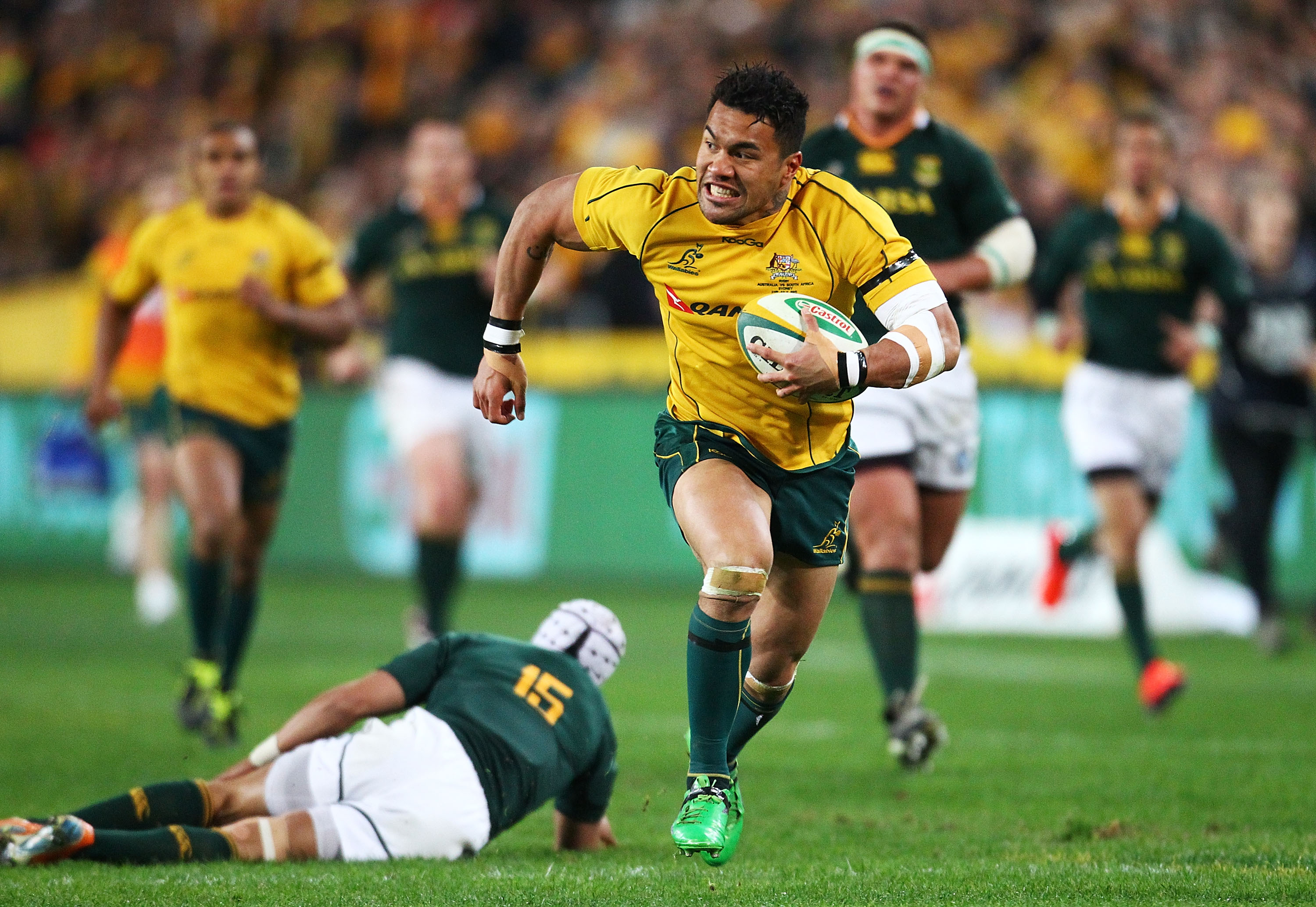 Wallabies respond with Springbok thrashing - ABC News