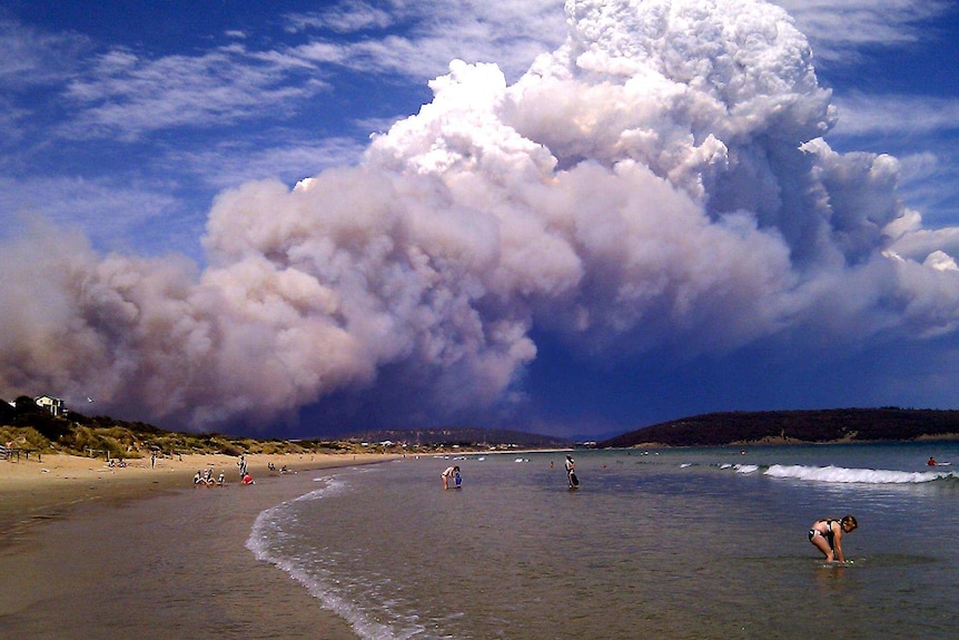 A pyrocumulonimbus or fire thunderstorm cloud.