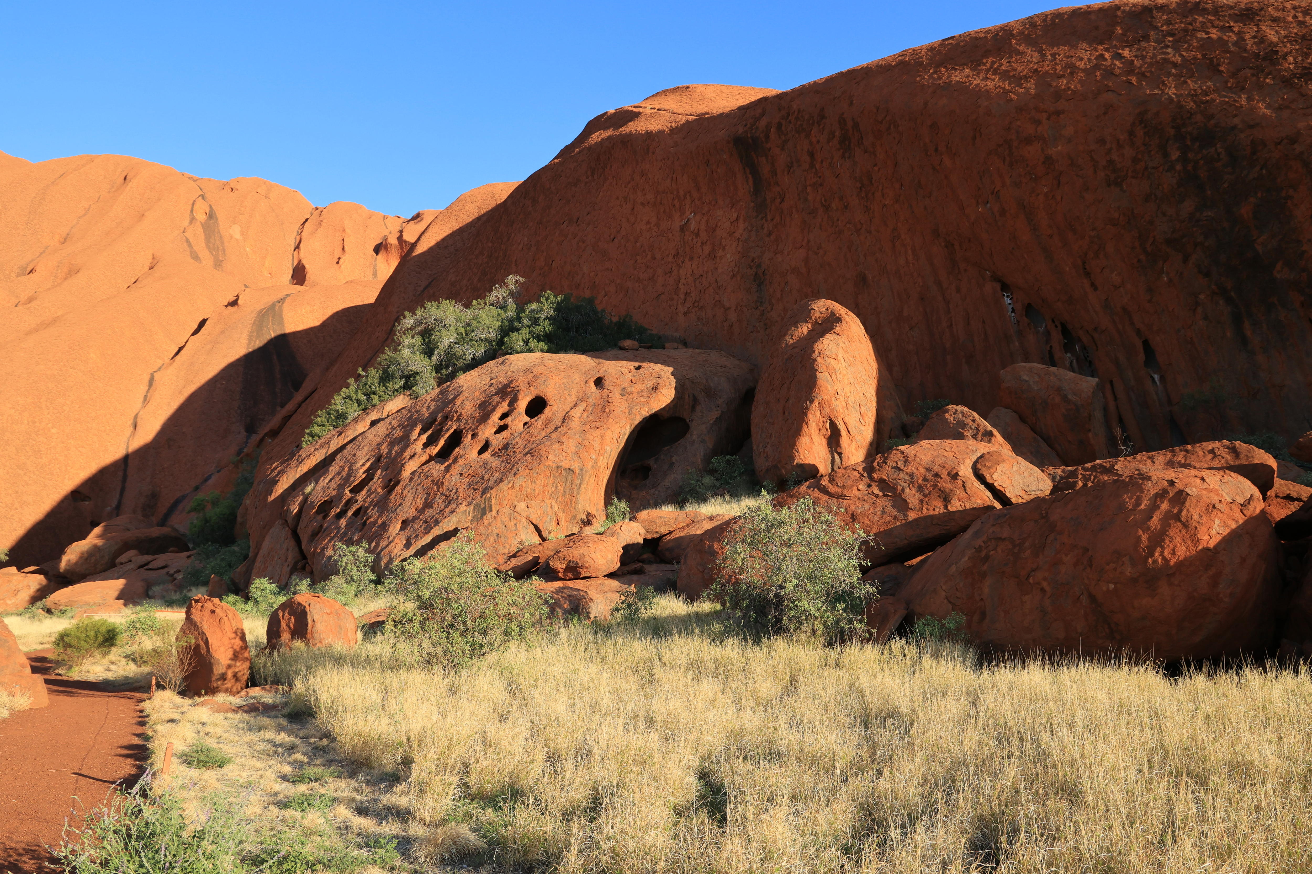 Buffel grass grows at the foot of Uluru with other large, red rocks in the foreground.