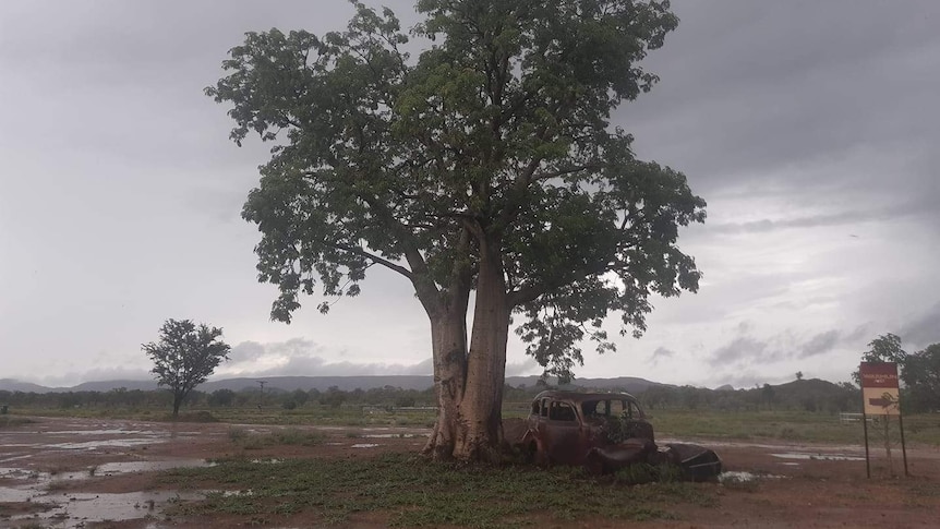 A stormy sky with a tree and burnt out car in the foreground.