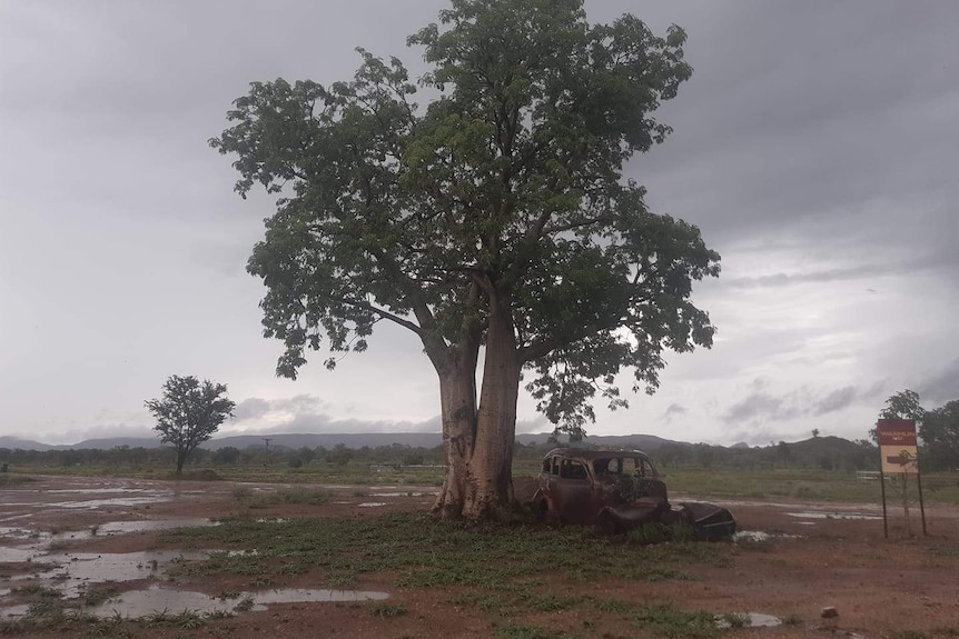 A stormy sky with a tree and burnt out car in the foreground.