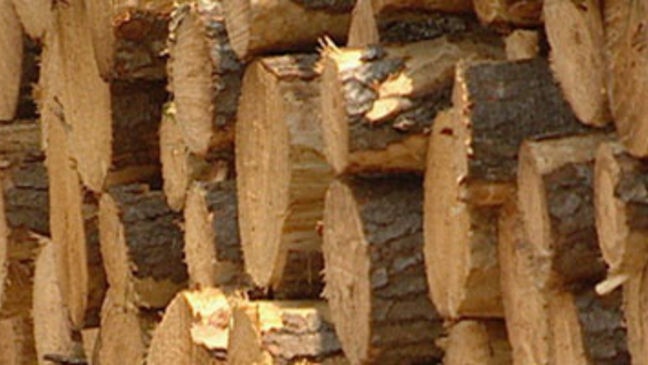 Harvested timber