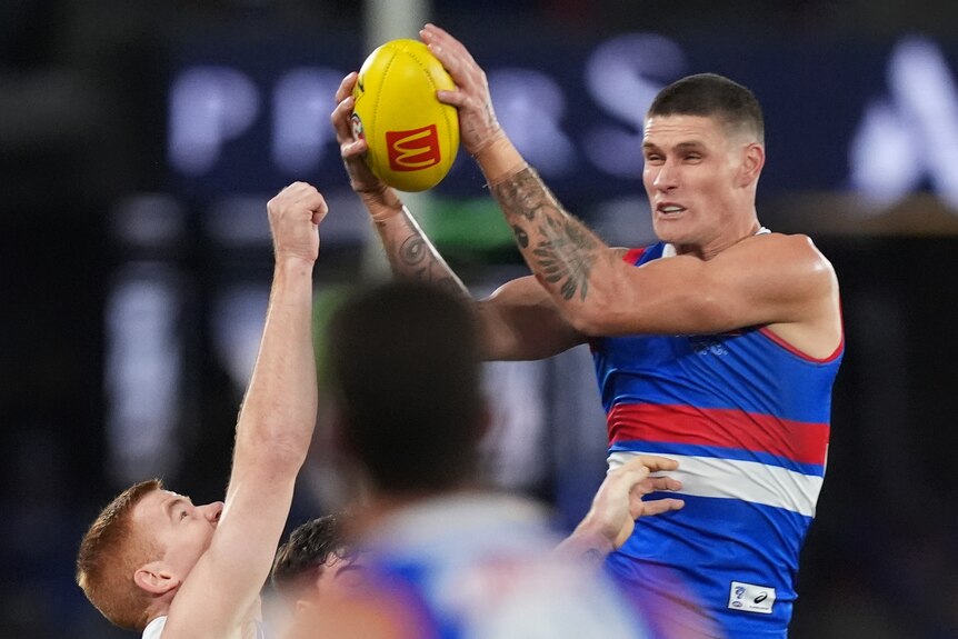 A Western Bulldogs AFL defender grimaces as he takes a contested mark ahead of a North Melbourne opponent.