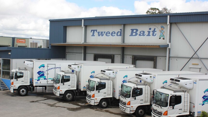 Five refrigerated trucks parked in a row out the front of a bait factory