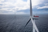 An aerial view of wind turbines at sea. 