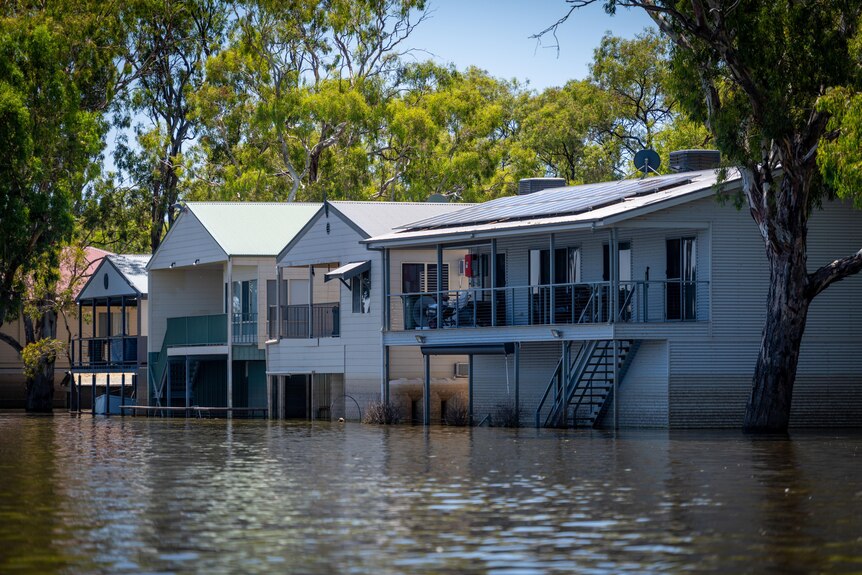 Flooded shacks along the River Murray.
