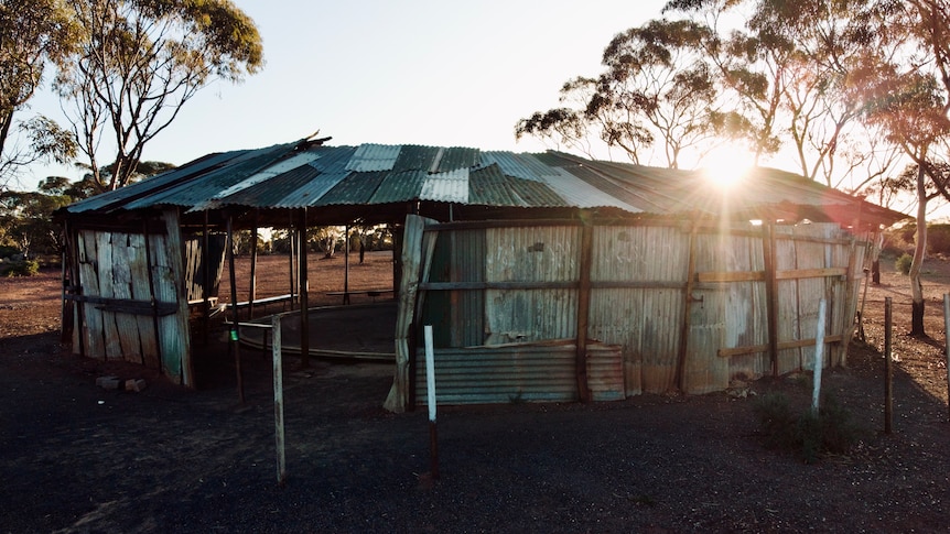 a poorly built tin shed, with a sunset behind it