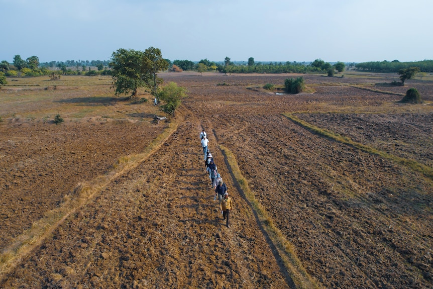 People walk in single file through a field. 