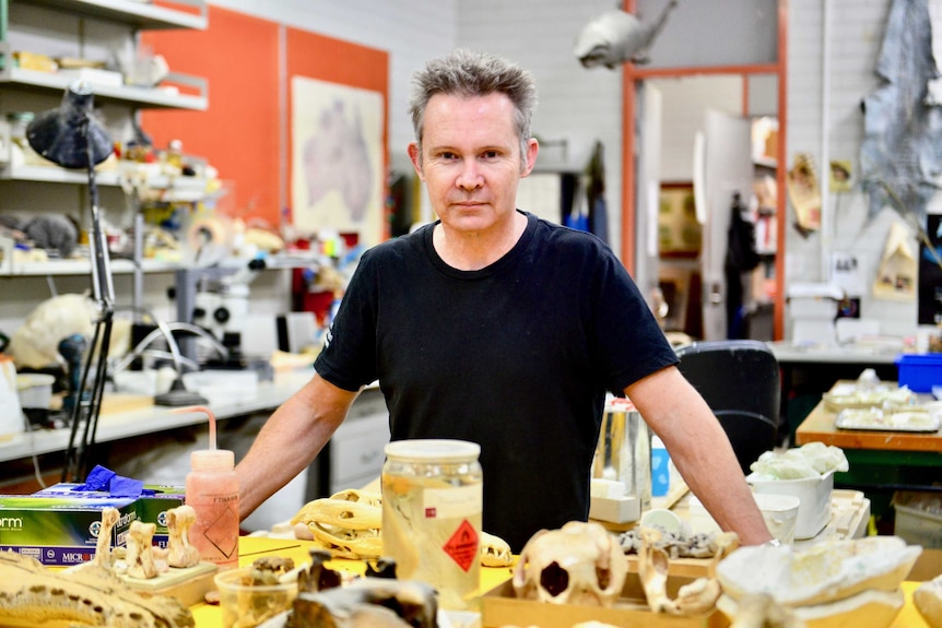 Portrait of Jo Bain, at his work desk at the South Australian Museum.