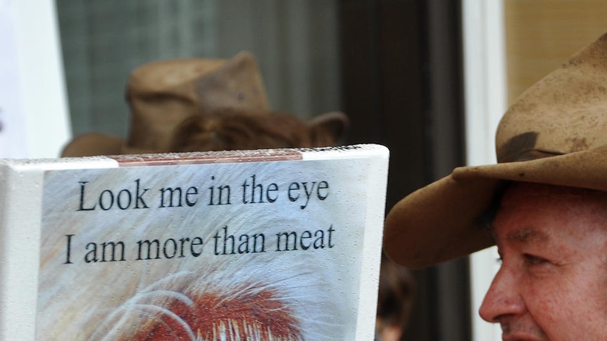 A cattle farmer talks with an animal rights activist on the steps of the West Australian parliament.