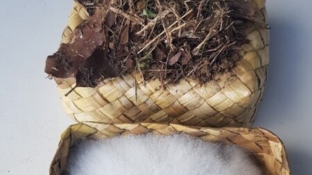 A small woven bamboo box is filled with a fuzzy white mould. It's lid sits beside is with brown mouldy leaves on top