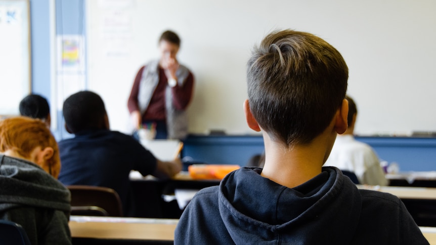 The back of a young boy's head, looking toward a teacher at the front of a classroom.