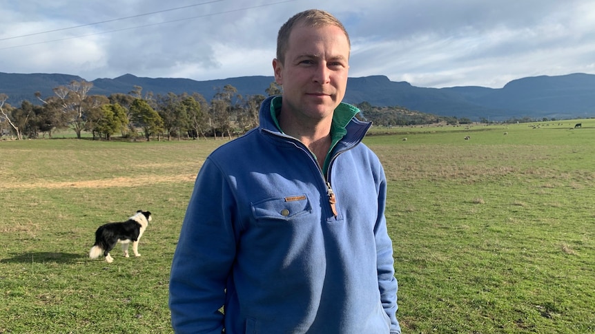 A man in a blue jumper stands in a green field, a border collie is in the background. 