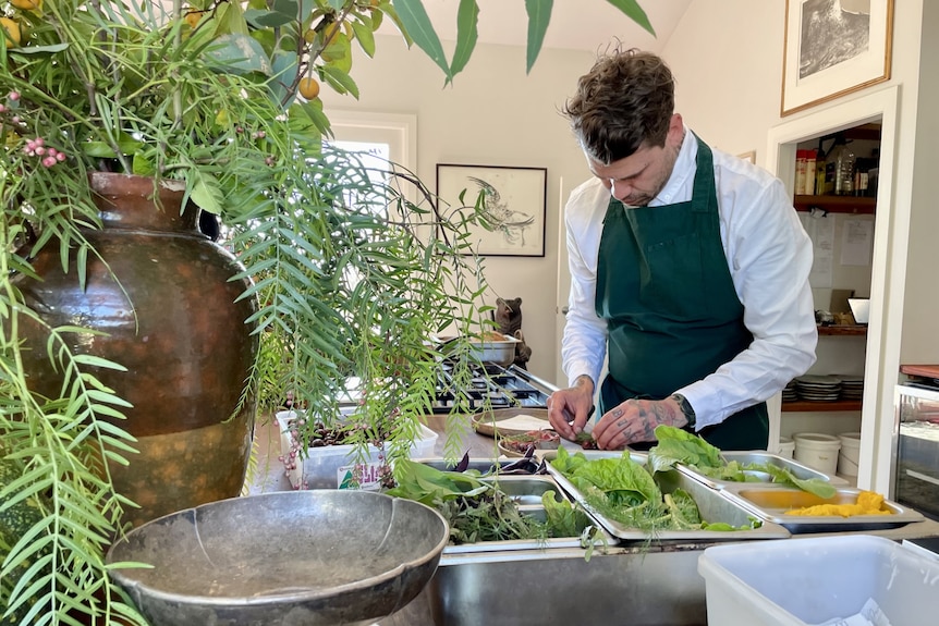 A chef prepares food in a kitchen. He is surrounded by fresh produce.
