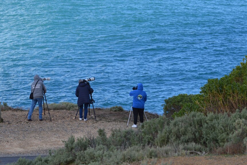 three photographers on coastal cliff