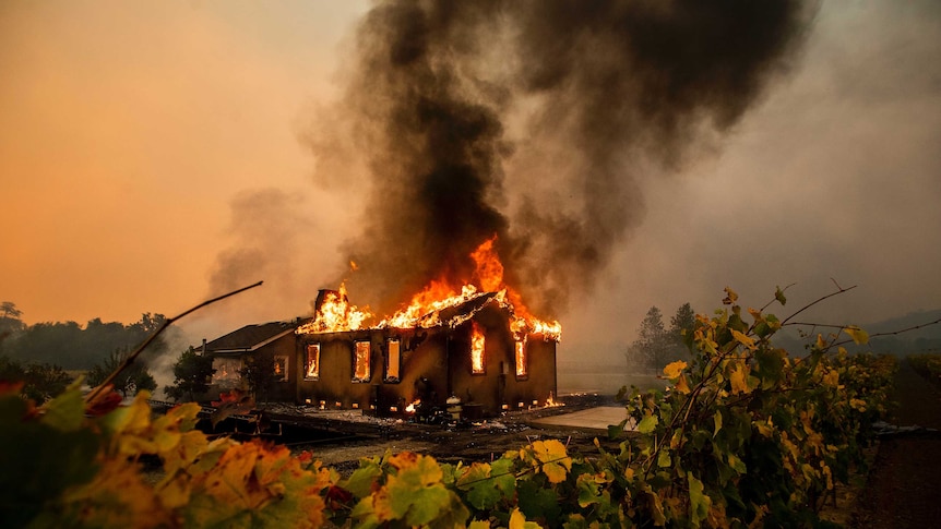 A house surrounded by farmland is up in flames in Sonoma wine country