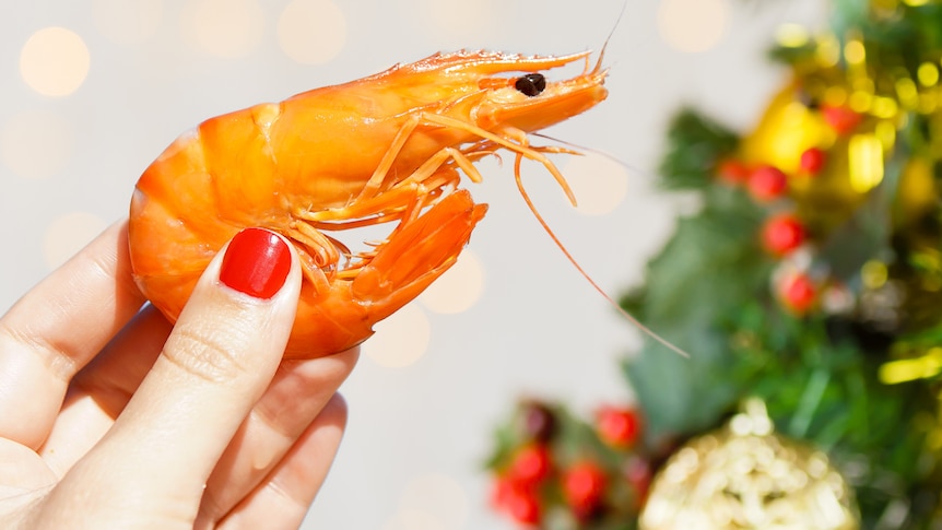 A woman holds a prawn in front of Christmas decorations.