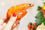 A woman holds a prawn in front of Christmas decorations.