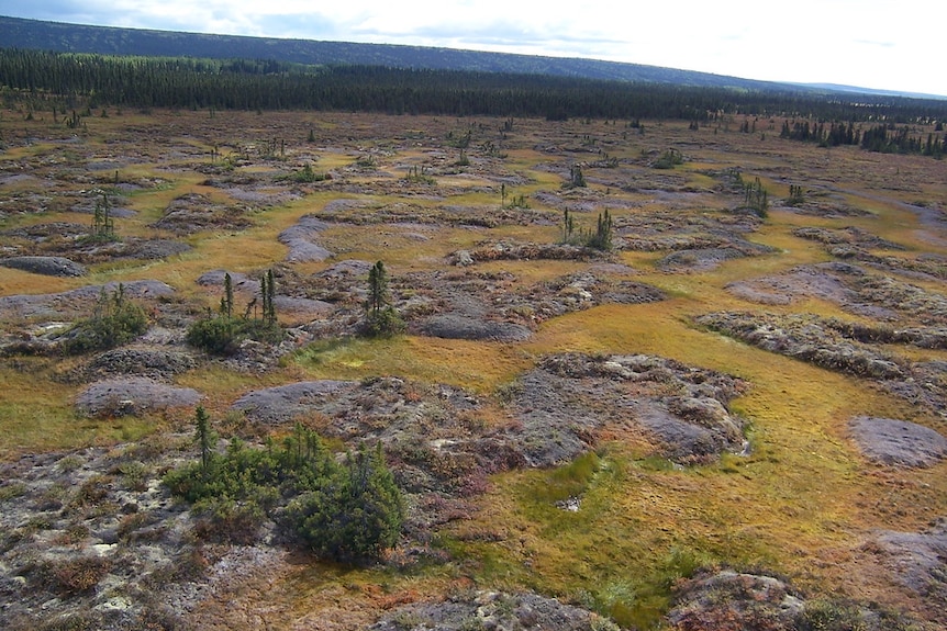 Permafrost terraces interspersed with dwarf shrubs and sedge meadows in a wildlife reserve in Alaska.