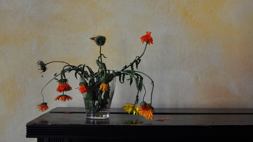 Wilted flowers in a vase on a table by a wall