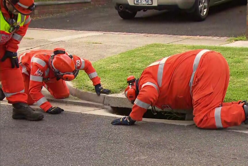 Two SES volunteers wearing bright orange overalls crouch on a street and look into a gutter drain while another looks over them.