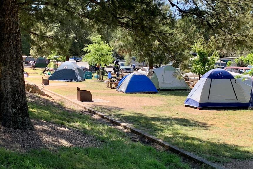 Various tents set up along grass 