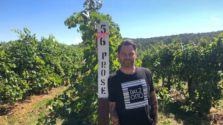 A man leaning against a pole at a vineyard in Victoria, Australia