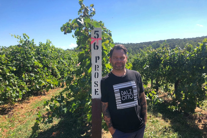 A man leaning against a pole at a vineyard in Victoria, Australia