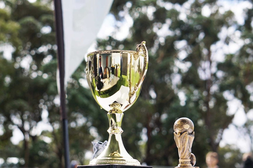 Gold sporting trophies on a table