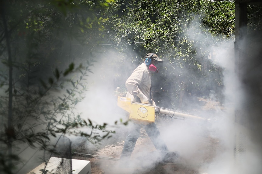 A man wearing a cap and face mask spraying white pesticide around a building