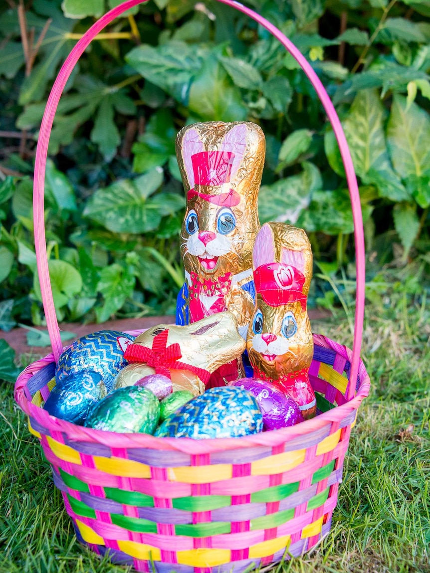 Chocolate Easter bunnies and eggs
