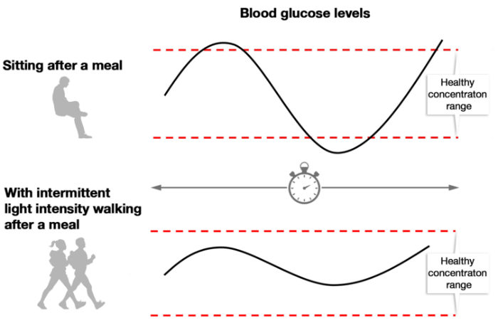 Hypothetical data illustrating the effects of sitting versus intermittent walking on glucose control in response to a meal.