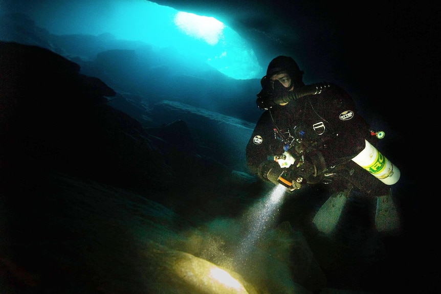 A diver in dark water with a torch.