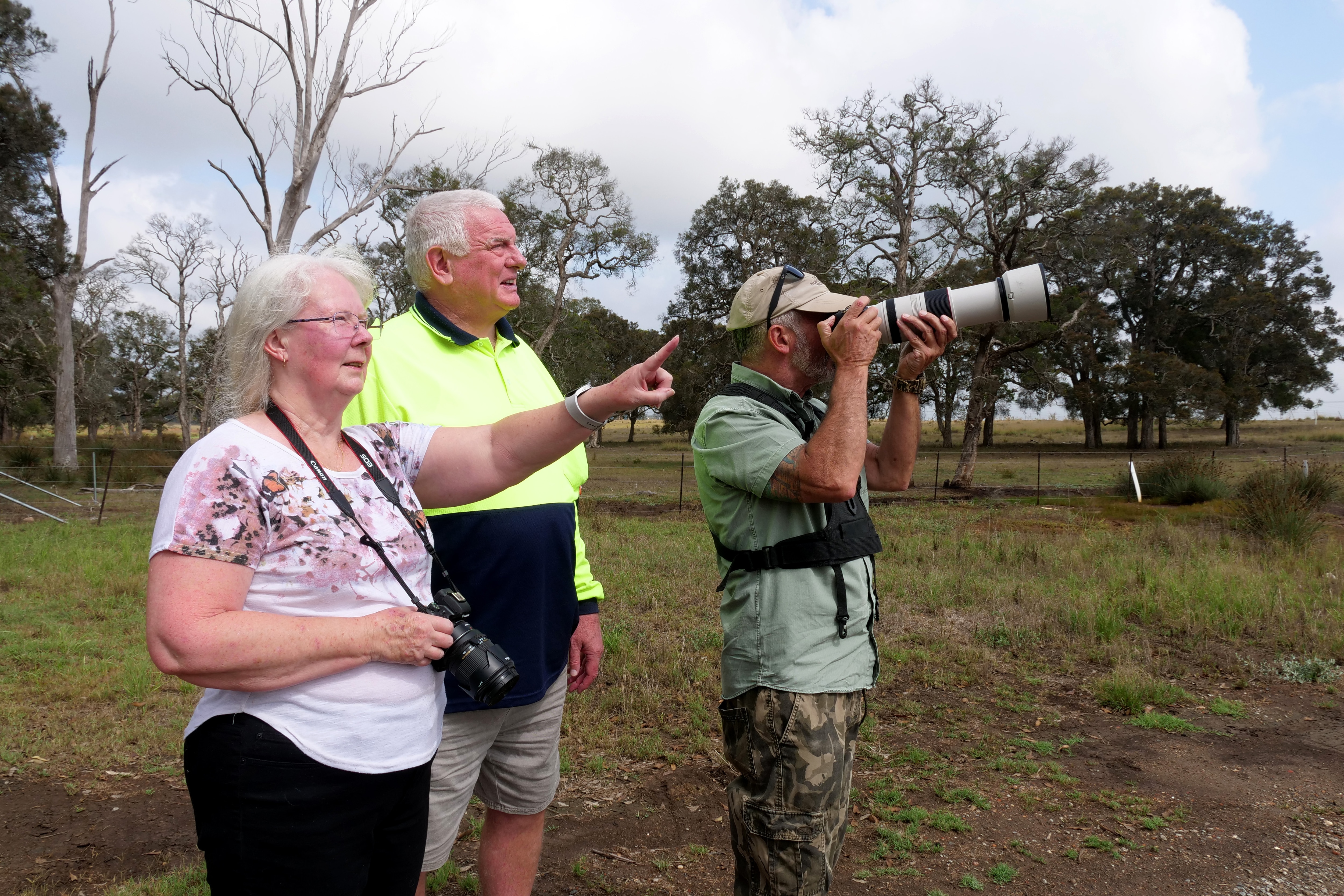 Accidental conservation success story under threat by government plan