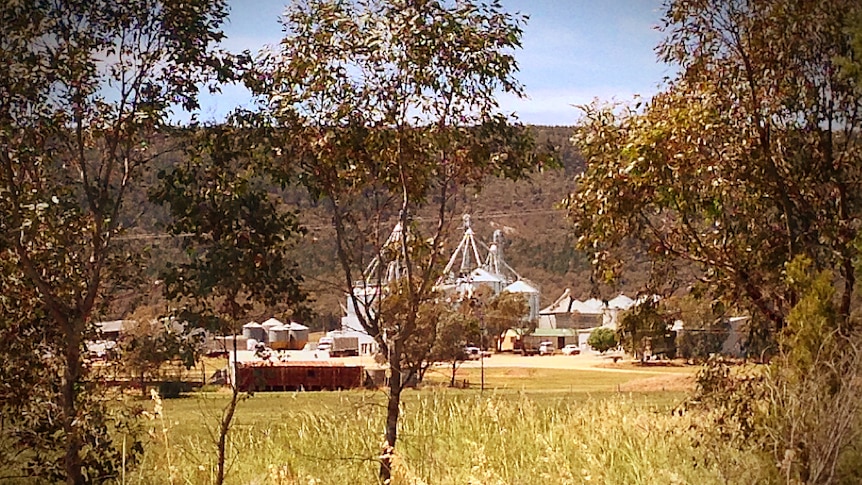 Poultry farm at centre of avian influenza outbreak. Bendick Murell, NSW (near Young)