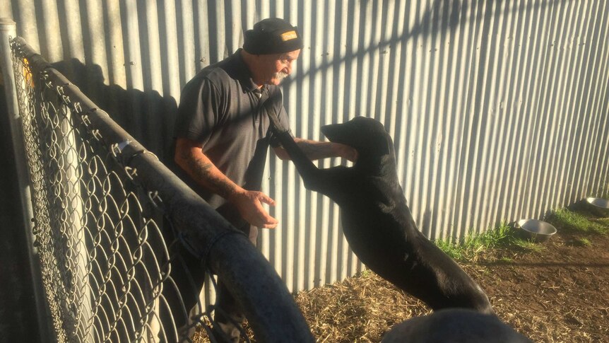 Harry Sarkis with a dog playfully jumping up on him.