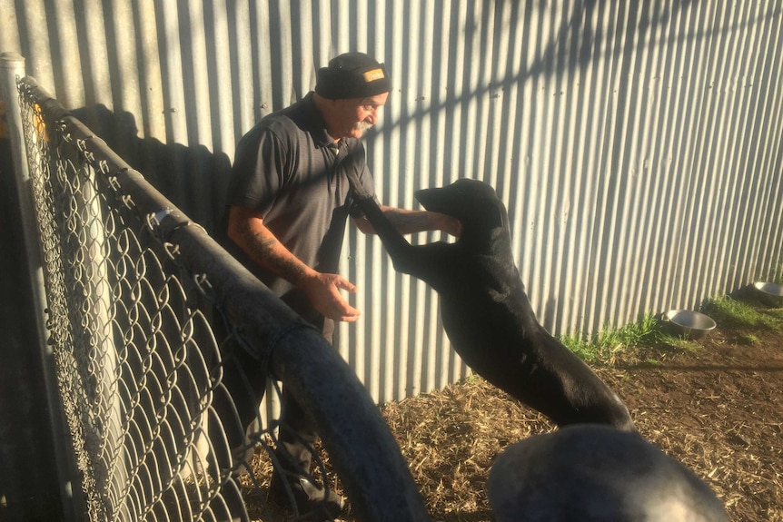 Harry Sarkis with a dog playfully jumping up on him.