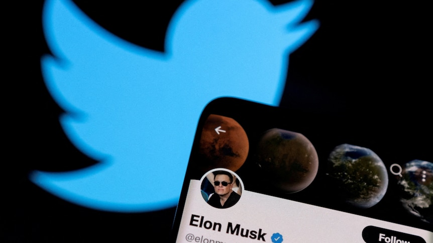 phone with a close up of Musk's twitter profile and the blue twitter logo in the background