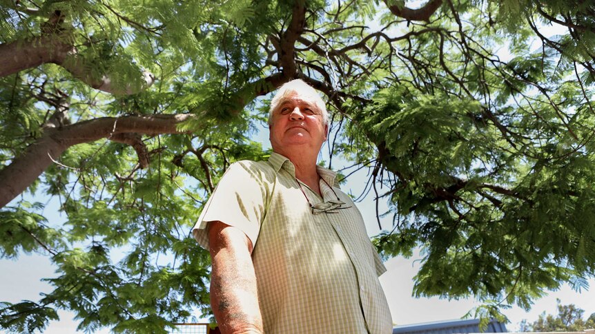 Man in light green chequered shirt stands under tree green leaf canopy