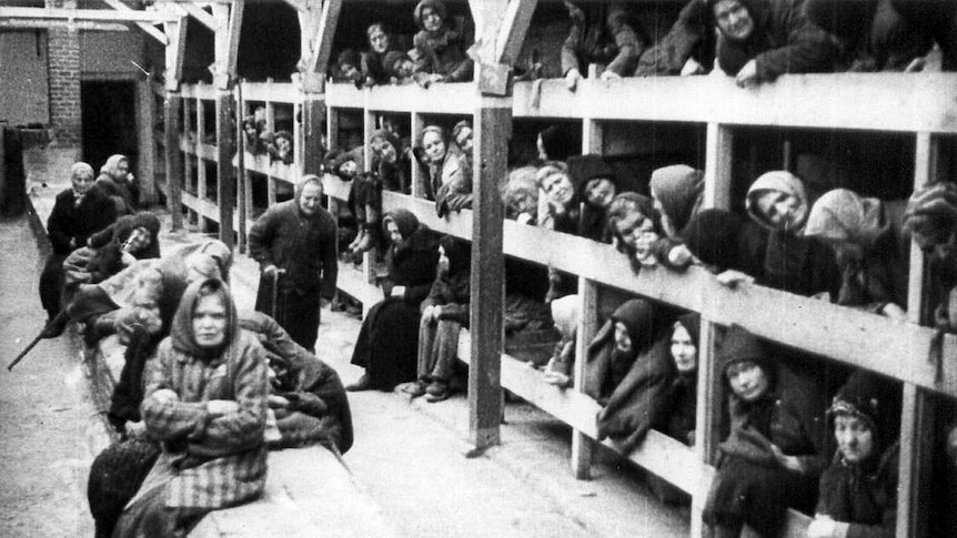 Women at the Auschwitz concentration camp crowd into bunks just after Russian troops liberate the camp in WWII.