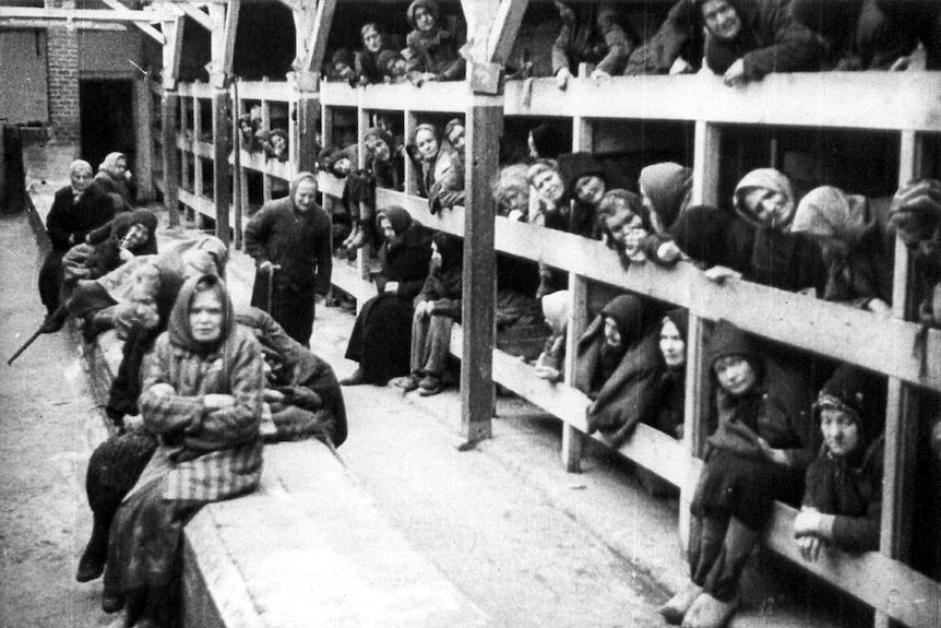 Women at the Auschwitz concentration camp crowd into bunks just after Russian troops liberate the camp in WWII.