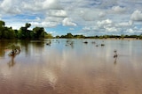 The Gilbert River in far north Queensland.