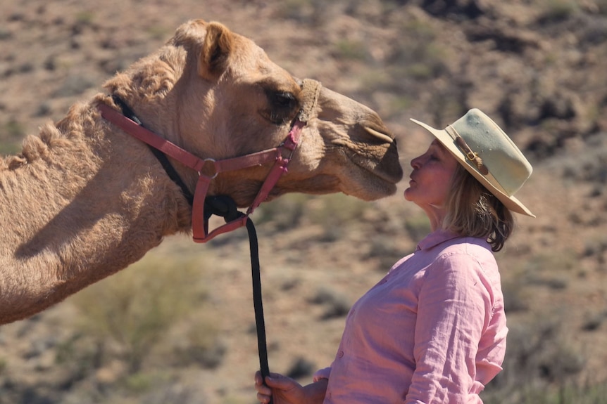 Woman wearing pink collared shirt and Akubra hat holds a camel's halter. The camel is leaning in for a kiss on the nose.