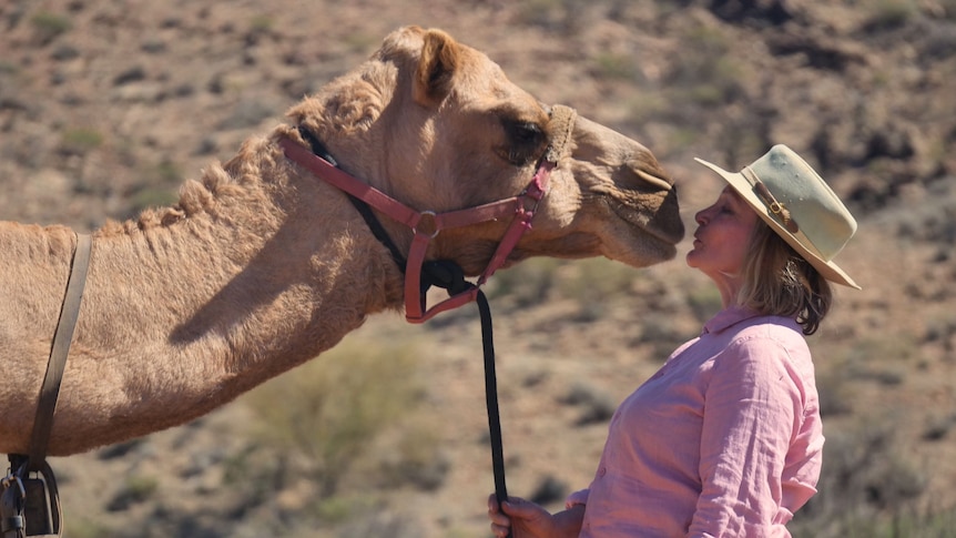 Woman wearing pink collared shirt and Akubra hat holds a camel's halter. The camel is leaning in for a kiss on the nose.