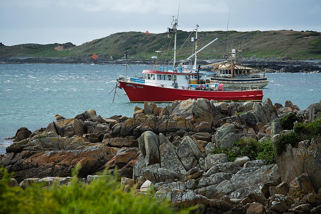 Dozens of COVID cases recorded on Tasmania's remote King Island ABC News