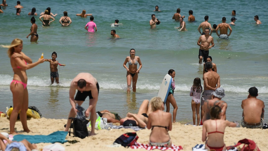 People cool off in the water on Bondi Beach, Sydney, on November 28, 2020