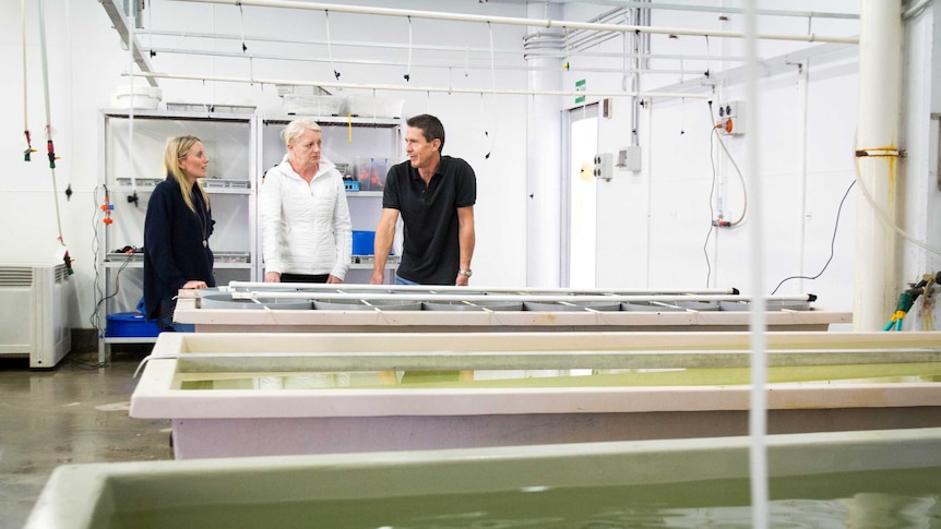 Three scientists stand next to tubs of water.