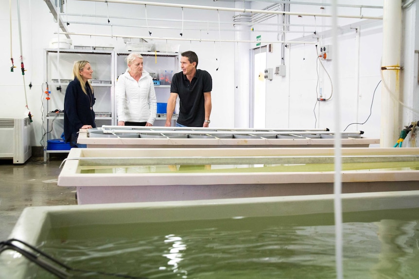 Three scientists stand next to tubs of water.