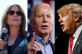 A composite image showing photos of Marianne Williamson, Joe Biden and Donald Trump spliced together.